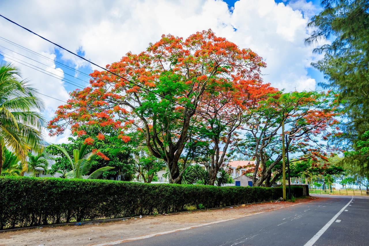 Garcon Des Iles Villa Mont-Choisy Bagian luar foto